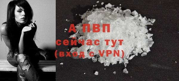 хмурый Богданович