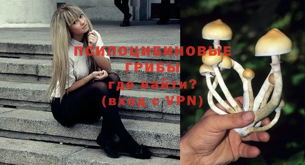 хмурый Богданович
