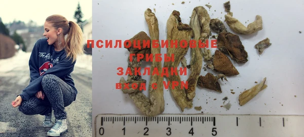 гидропоника Богородицк